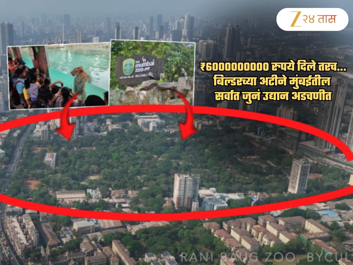 600 कोटी रुपये, तो बिल्डर अन् अमेरिका, आफ्रिकेतले प्राणी... राणीच्या बागेत चाललंय काय? 600 कोटी रुपये, तो बिल्डर अन् अमेरिका, आफ्रिकेतले प्राणी... राणीच्या बागेत चाललंय काय?