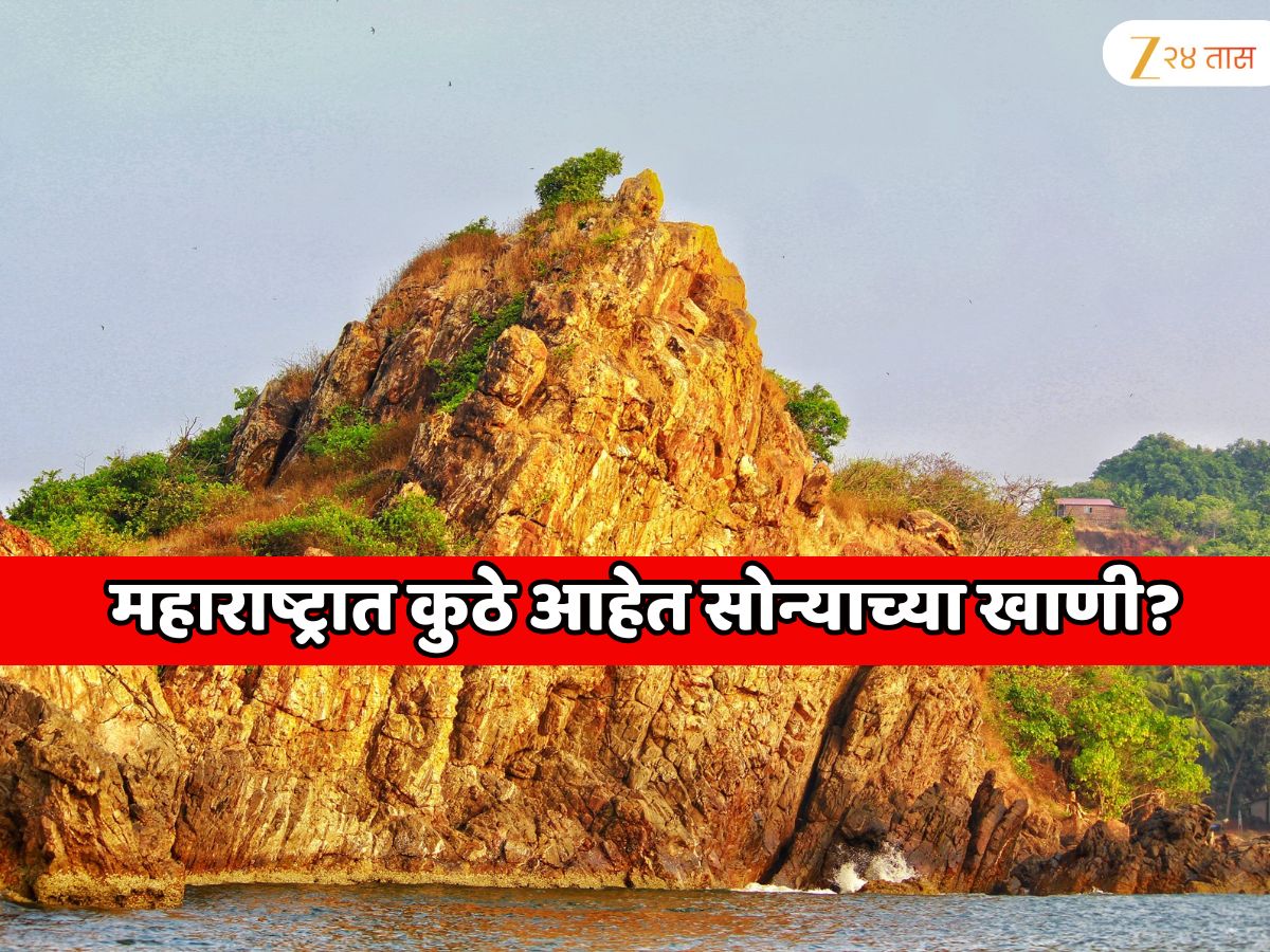 महाराष्ट्राच्या मातीत सोनंच सोनं? कोकण आणि विदर्भात सोन्याच्या खाणी?