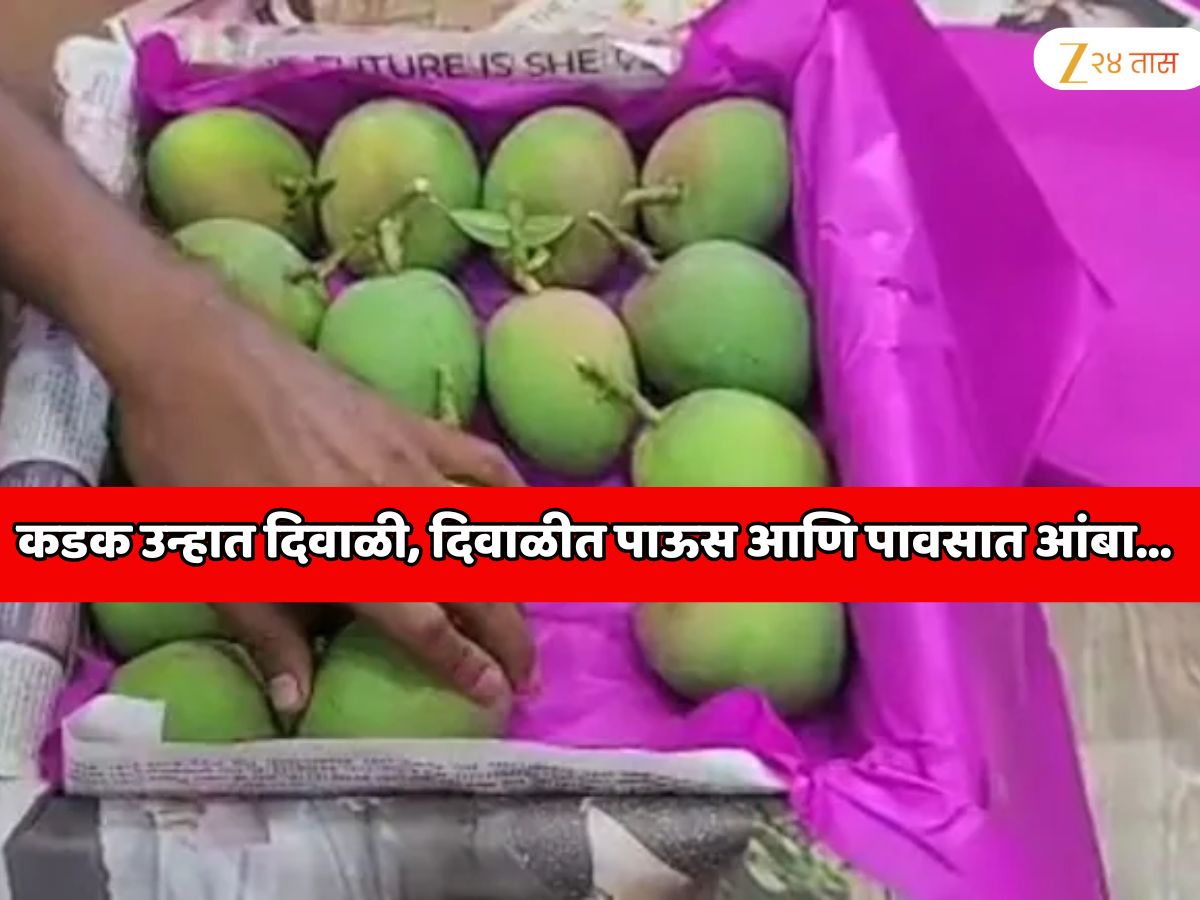 कडक उन्हात दिवाळी, दिवाळीत पाऊस आणि पावसात आंबा… महाराष्ट्रात चित्र विचित्र वातावरण