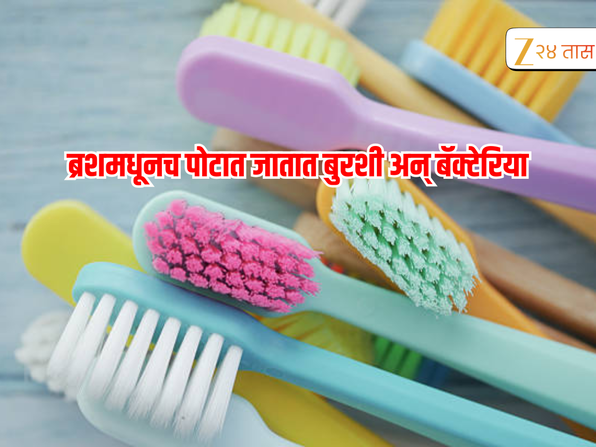 तुमचा ब्रश स्वच्छ आहे का? ब्रशमध्ये 125000000 बॅक्टेरिया अन् बुरशी... संशोधनात खुलासा तुमचा ब्रश स्वच्छ आहे का? ब्रशमध्ये 125000000 बॅक्टेरिया अन् बुरशी... संशोधनात खुलासा