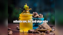 भरपूर फराळ खाल्ल्यानंतर Detox करायचा प्लान करताय? शरीरातील तेल अन् टॉक्सिन खेचून बाहेर काढेल 6 नॅच्युरल फिल्टर ज्यूस 