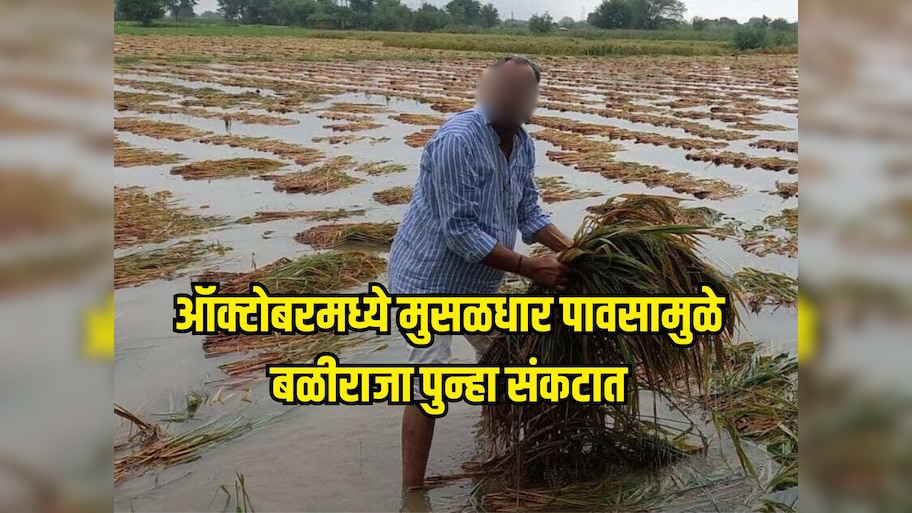 ऑक्टोबरमध्ये मुसळधार पावसामुळे बळीराजा पुन्हा संकटात