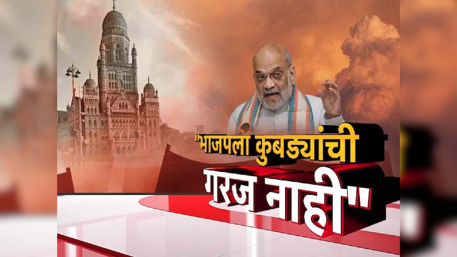 'भाजपला कुबड्यांची गरज नाही', गृहमंत्री अमित शाहांचा रोख कुणाकडे? 