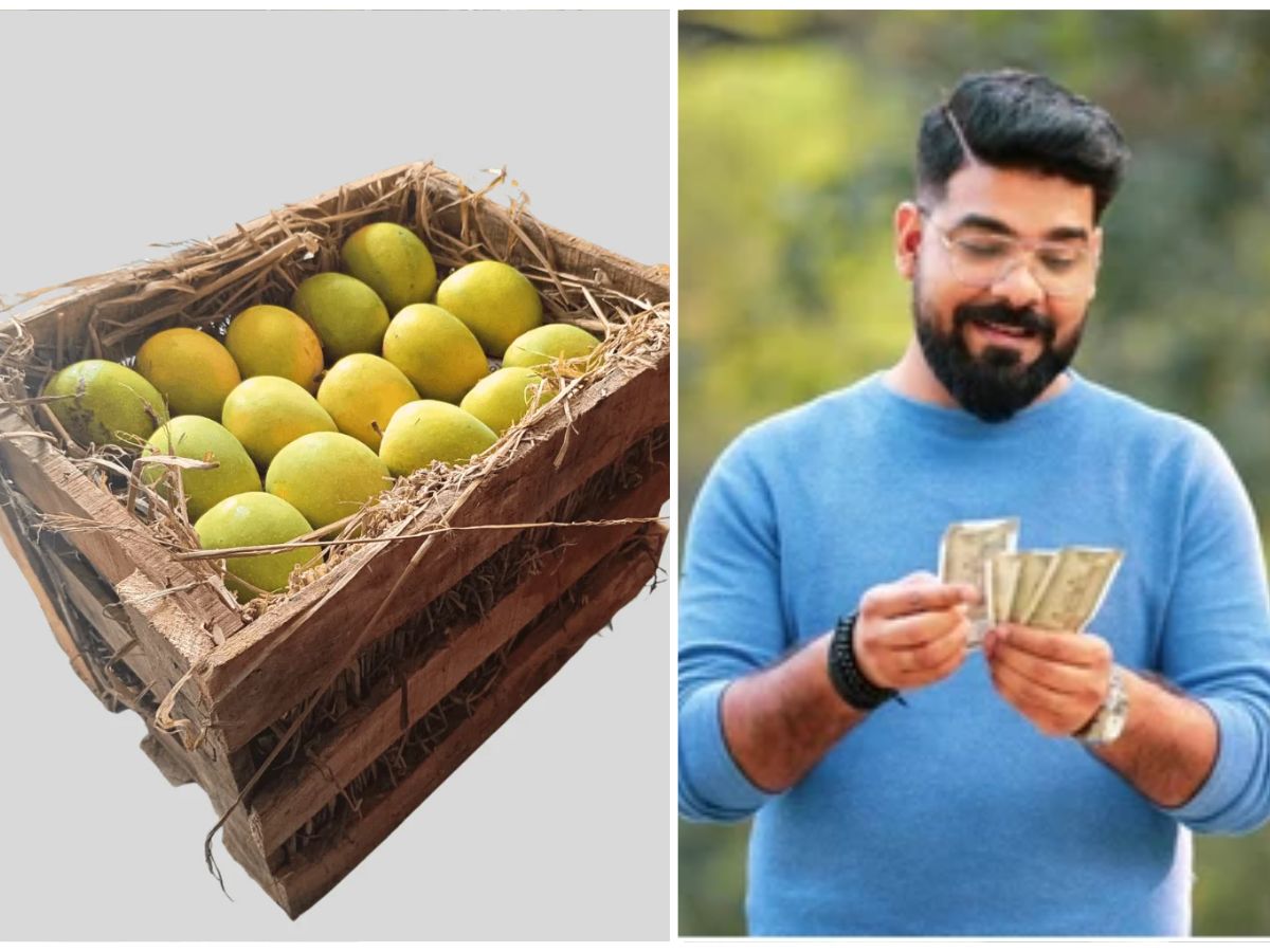 बाबो! हिवाळ्यातील हापूसची एक पेटी घेण्यासाठी तुमचा महिन्याचा पगारही कमी पडेल; दर आहेत… बाबो! हिवाळ्यातील हापूसची एक पेटी घेण्यासाठी तुमचा महिन्याचा पगारही कमी पडेल; दर आहेत…