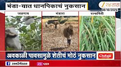 राज्यातील अनेक भागाला अवकाळी पावसाचा फटका; कापूस पिकांचं नुकसान