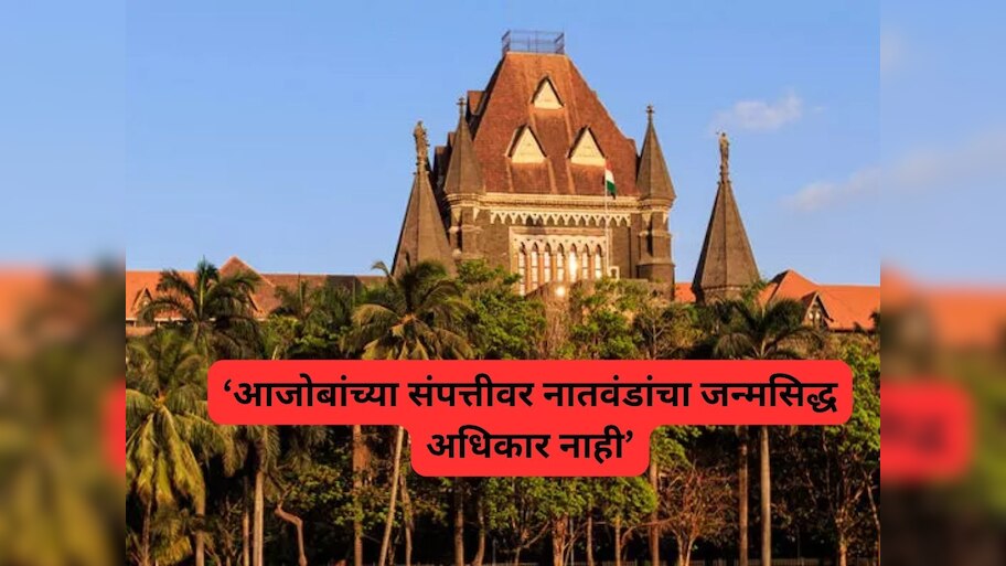 आजोबांच्या संपत्तीवर नातवंडांचा जन्मसिद्ध अधिकार नाही; हिंदू मिताक्षरी कायद्याचा दाखला देत HC चा मोठा निर्णय