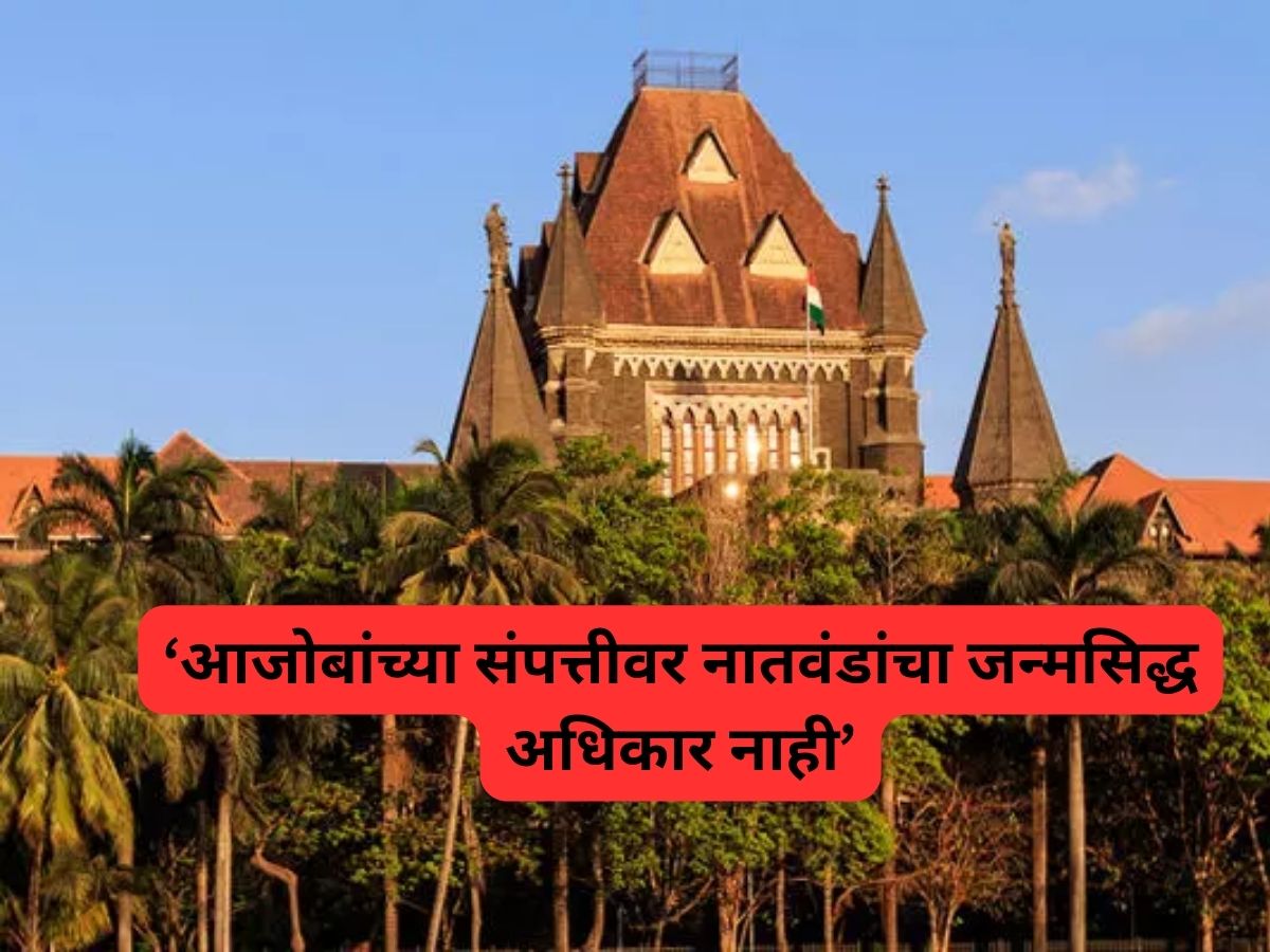 आजोबांच्या संपत्तीवर नातवंडांचा जन्मसिद्ध अधिकार नाही; हिंदू मिताक्षरी कायद्याचा दाखला देत HC चा मोठा निर्णय आजोबांच्या संपत्तीवर नातवंडांचा जन्मसिद्ध अधिकार नाही; हिंदू मिताक्षरी कायद्याचा दाखला देत HC चा मोठा निर्णय