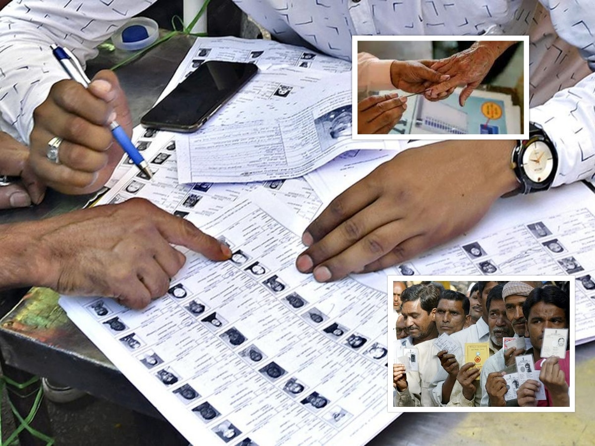 मतदार यादीत दोन नावं होतात कशी? महाराष्ट्रातील भाजपा नेत्यानेच उदाहरणासह केलं उघड; म्हणाले ‘बोगस मतदान…’