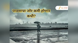 मुंबईसह उपनगरात पहाटेपासून पावसाची संततधार; राज्यातील 'या' भागात विजांसह कोसळणार पाऊस