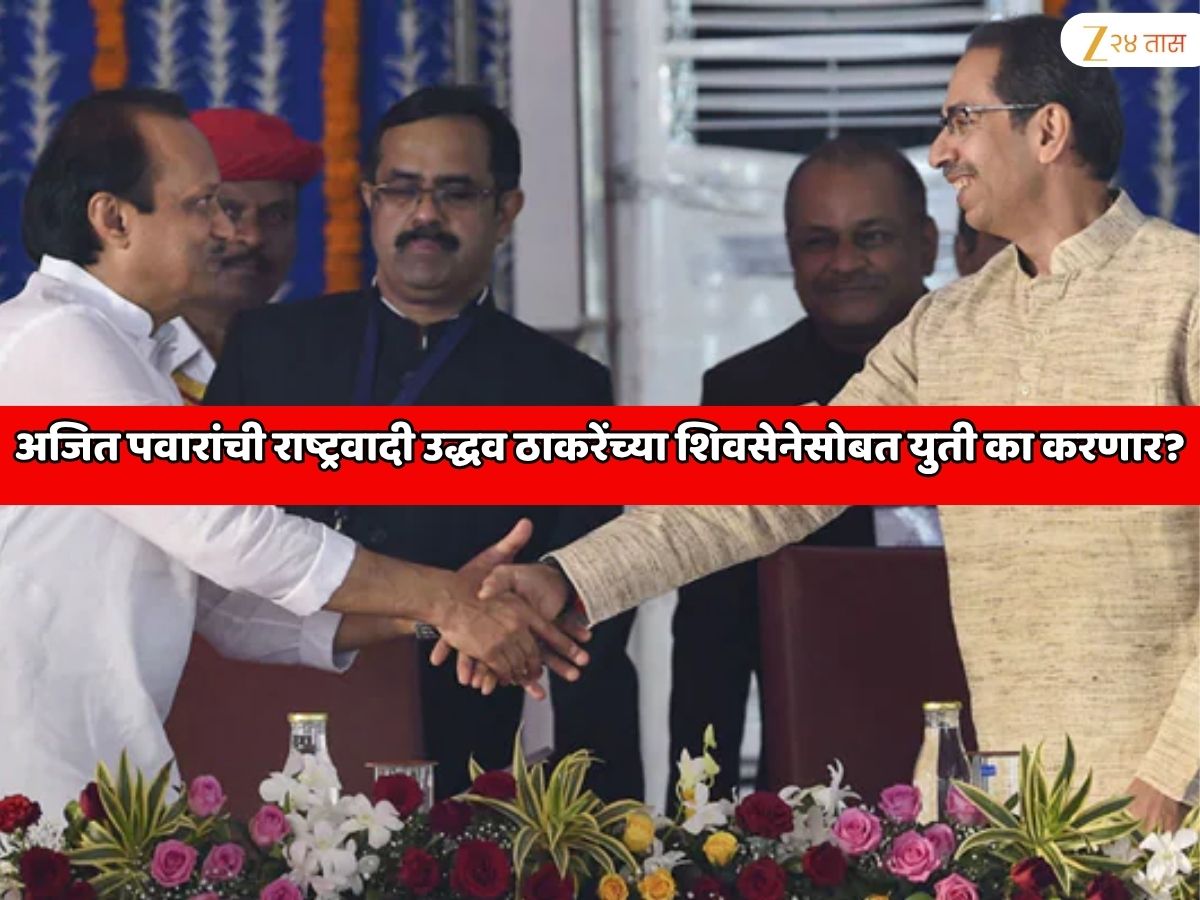 महाराष्ट्राच्या राजकारणात आणखी एक मोठी युती! अजित पवारांची राष्ट्रवादी उद्धव ठाकरेंच्या शिवसेनेसोबत का जाणार? पक्षाच्या नेत्यांचा मोठा खुलासा