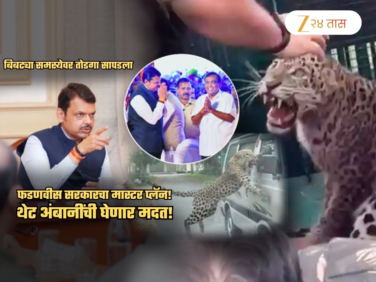 फडणवीस सरकारचा मास्टर प्लॅन! पुण्यातील बिबट्यांच्या हल्ल्यांची समस्या सोडवण्यासाठी थेट अंबानींची मदत; लवकरच…