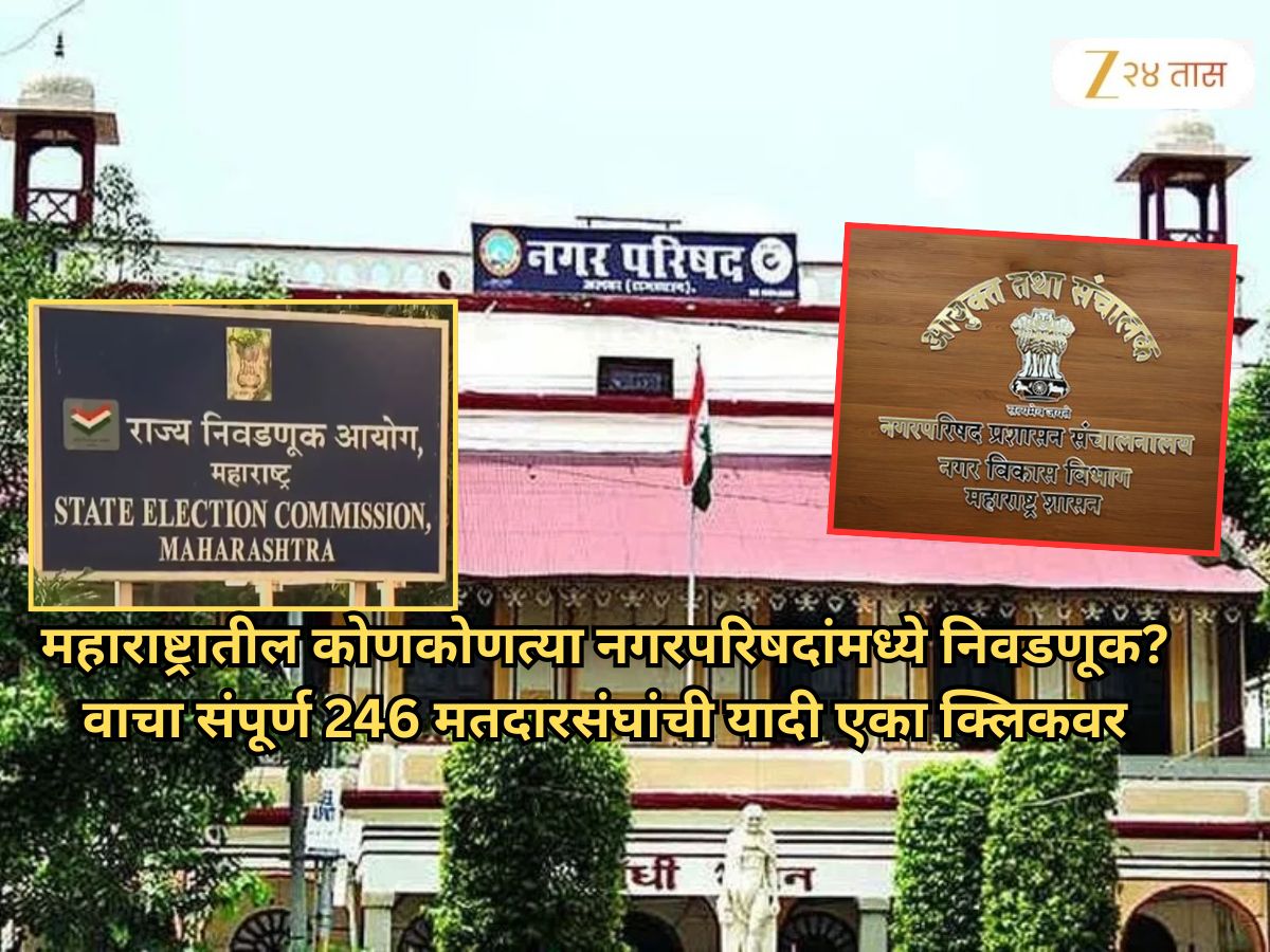 Local Body Election: महाराष्ट्रातील कोणकोणत्या नगरपरिषदांमध्ये निवडणूक? वाचा संपूर्ण 246 मतदारसंघांची यादी एका क्लिकवर