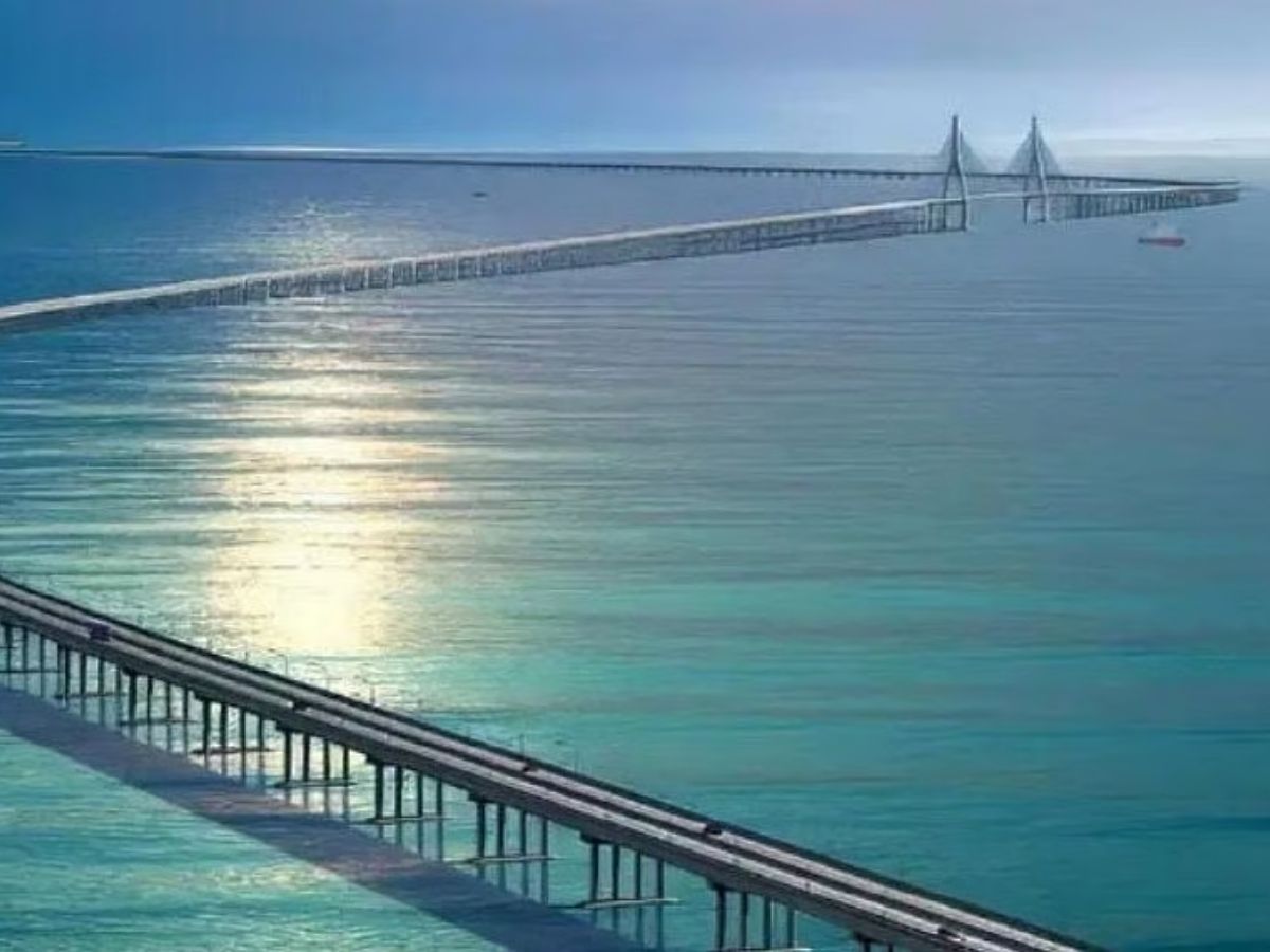 विरारमध्येही होतोय सी-लिंक, सरकारच्या महत्त्वकांक्षी प्रकल्पाला जोडणार; फडणवीसांनी घेतला मोठा निर्णय