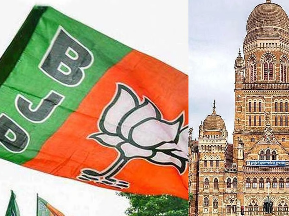 mumbai news bmc election bjp to give chance on the basis of candidates merit latest political update 