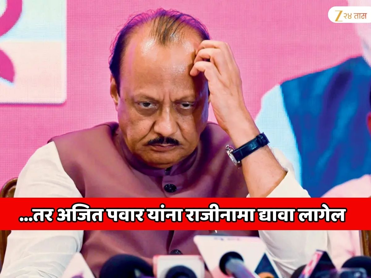 …तर अजित पवार यांना राजीनामा द्यावा लागेल; मंत्री माणिकराव कोकाटे यांच्या विधानामुळे महाराष्ट्राच्या राजकारणात खळबळ