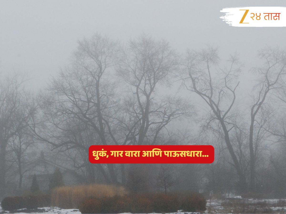 Maharashtra Weather News : उत्तर महाराष्ट्र गारठला, ठिकठिकाणी शेकोट्या…; धुकं, गार वारा अन् पाऊस! हवामानाचं गणित पुन्हा बिनसलं?