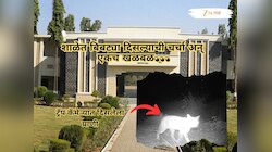 नाशिकच्या मिलिटरी स्कूलमध्ये बिबट्या दिसल्याने धावाधाव, सर्च ऑपरेशनदरम्यान समोर आलं वेगळच सत्य