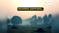 थंडीनं मारली दडी? उत्तरेकडील वाऱ्यांची दिशा बदलताच महाराष्ट्रावर अनपेक्षित परिणाम... सावधगिरीचा इशारा! 