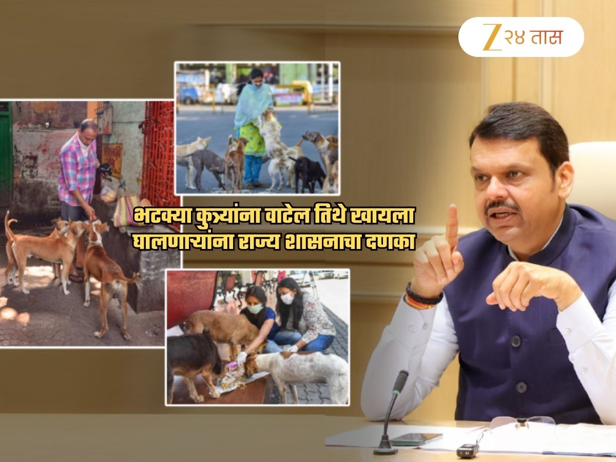 भटक्या कुत्र्यांना वाटेल तिथे खावू घालणाऱ्यांना दणका; महाराष्ट्रात नवा नियम लागू, जाणून घ्या सविस्तर