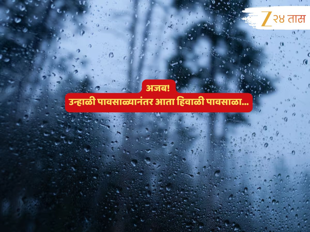 Maharashtra Weather News : थंडी हद्दपार? हिवाळी पावसाळ्यानं वाढवली चिंता; राज्यासह देशात वादळी वाऱ्यासह बरसणार…