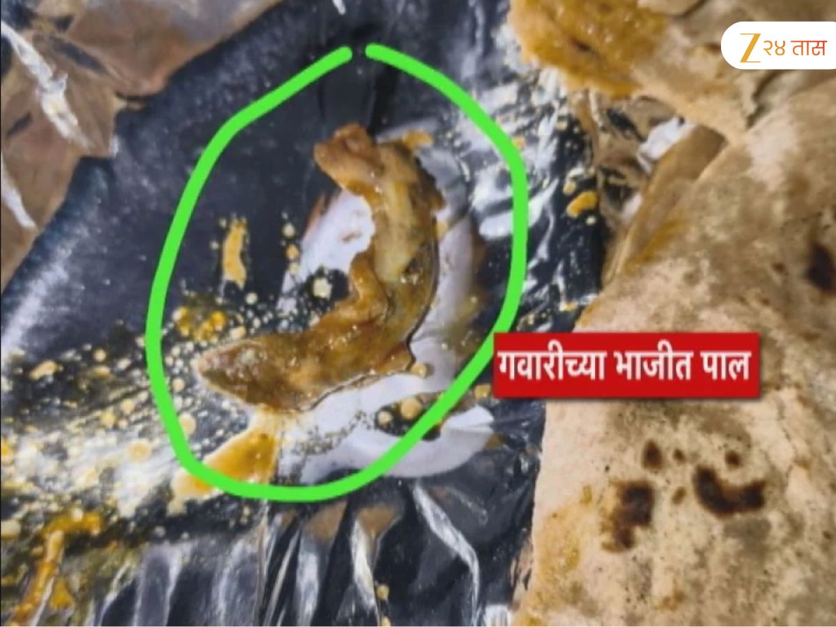 जेवणाच्या ताटात पाल; समाजकल्याण विभागाच्या वसतिगृहातील किळसवाणा प्रकार, 28 विद्यार्थ्यांची प्रकृती बिघडली