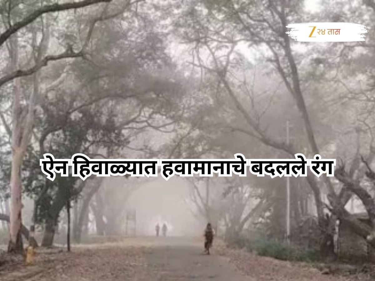 राज्यातील थंडी ओसरली, उकाडा वाढला; ऐन हिवाळ्यात हवामानाचे बदलले रंग