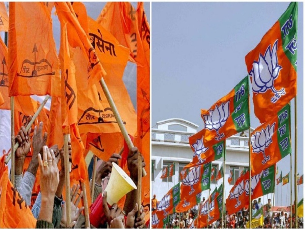 भंडाऱ्यात महायुतीत मीठाचा खडा? भाजप-शिवसेनेतील वाद शिगेला!