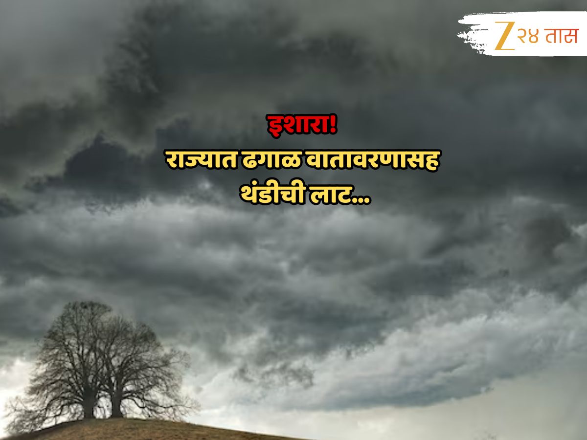 Maharashtra Weather News : येत्या 48 तासात दातखिळी बसवणारी थंडी; यलो अलर्ट देत हवामान विभागाचा स्पष्ट इशारा