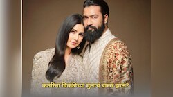 कतरिना विक्कीच्या मुलाचं बारसं झालं? नाव काय ठेवलं विचारताच अभिनेत्याने दिलं रंजक उत्तर 