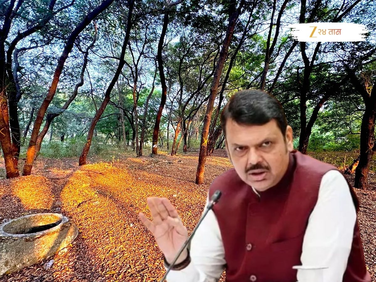 तपोवन वृक्षतोड वादावर फडणवीस स्पष्टच बोलले! नाशिकचा उल्लेख करत म्हणाले, ‘ गुगल मॅप पाहिला तर…’ तपोवन वृक्षतोड वादावर फडणवीस स्पष्टच बोलले! नाशिकचा उल्लेख करत म्हणाले, ‘ गुगल मॅप पाहिला तर…’