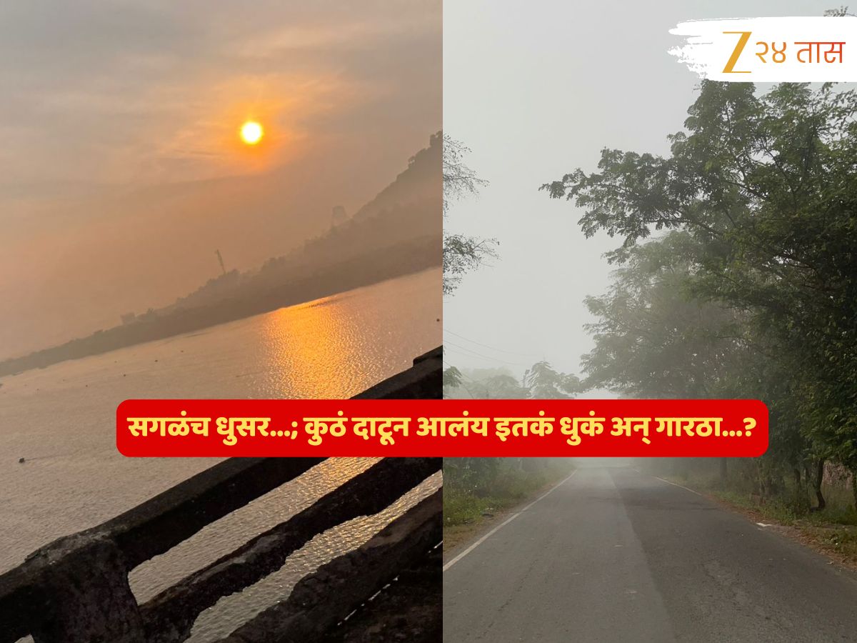 Maharashtra Weather News : धुक्यात हरवली वाट…आठवड्याचा शेवट थंडीनंच! कुठे वाहणार शीतलहरी? Maharashtra Weather News : धुक्यात हरवली वाट…आठवड्याचा शेवट थंडीनंच! कुठे वाहणार शीतलहरी?