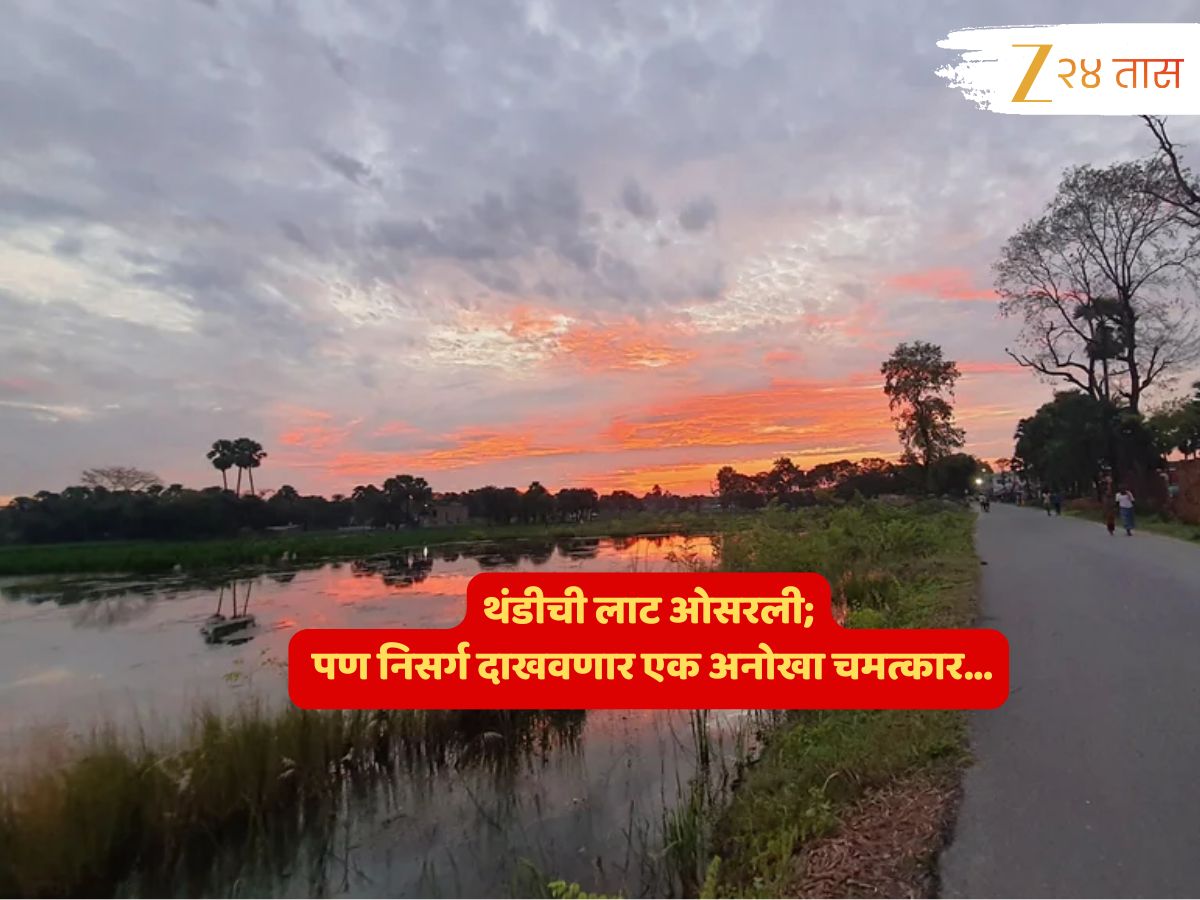 Maharashtra Weather News : किमान तापमानात वाढ, गुलाबी थंडी गायब! आठवड्याच्या शेवटी कशी असेल हवामानाची स्थिती?