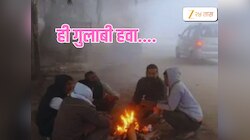 Maharashtra Weather News : थंडीचा कहर! विकेंडला हवामानाचा काय प्लान?