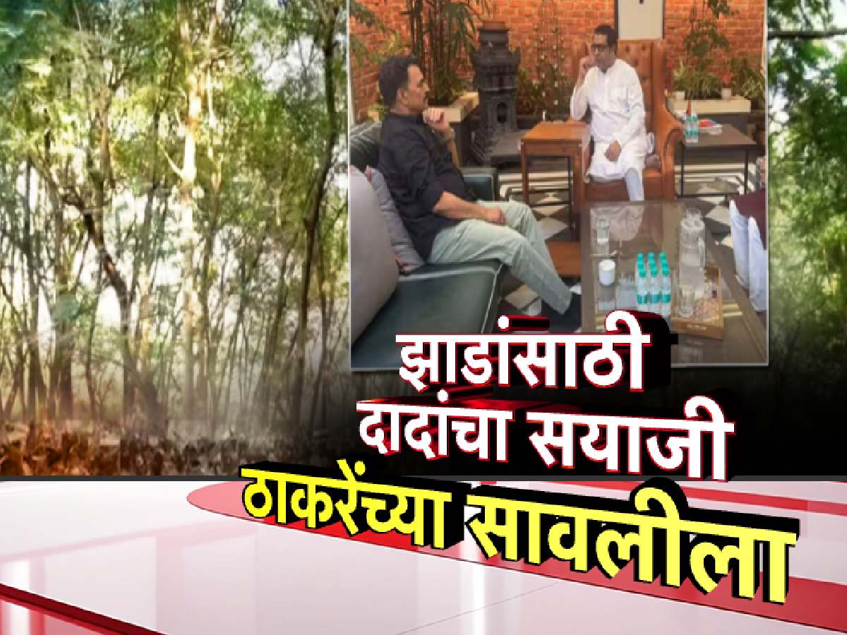 तपोवनातील वृक्षतोडीविरोधात सयाजी शिंदे आक्रमक, थेट राज ठाकरेंकडे धाव