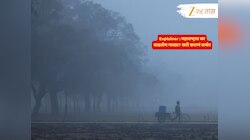 Explainer : महाराष्ट्रात अचानक इतकी थंडी आली कुठून? तज्ज्ञांनीच दिलं उत्तर...