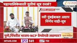 महापालिकेसाठी महायुतीचा फॉर्म्युला ठरला, निलेश राणे म्हणाले... 