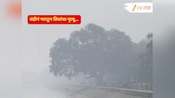 राज्यात 'जीवघेणी' थंडी, गारठून तिघांचा मृत्यू; हवामान विभागाकडून 13 जिल्ह्यांसाठी दक्षतेचा इशारा! 