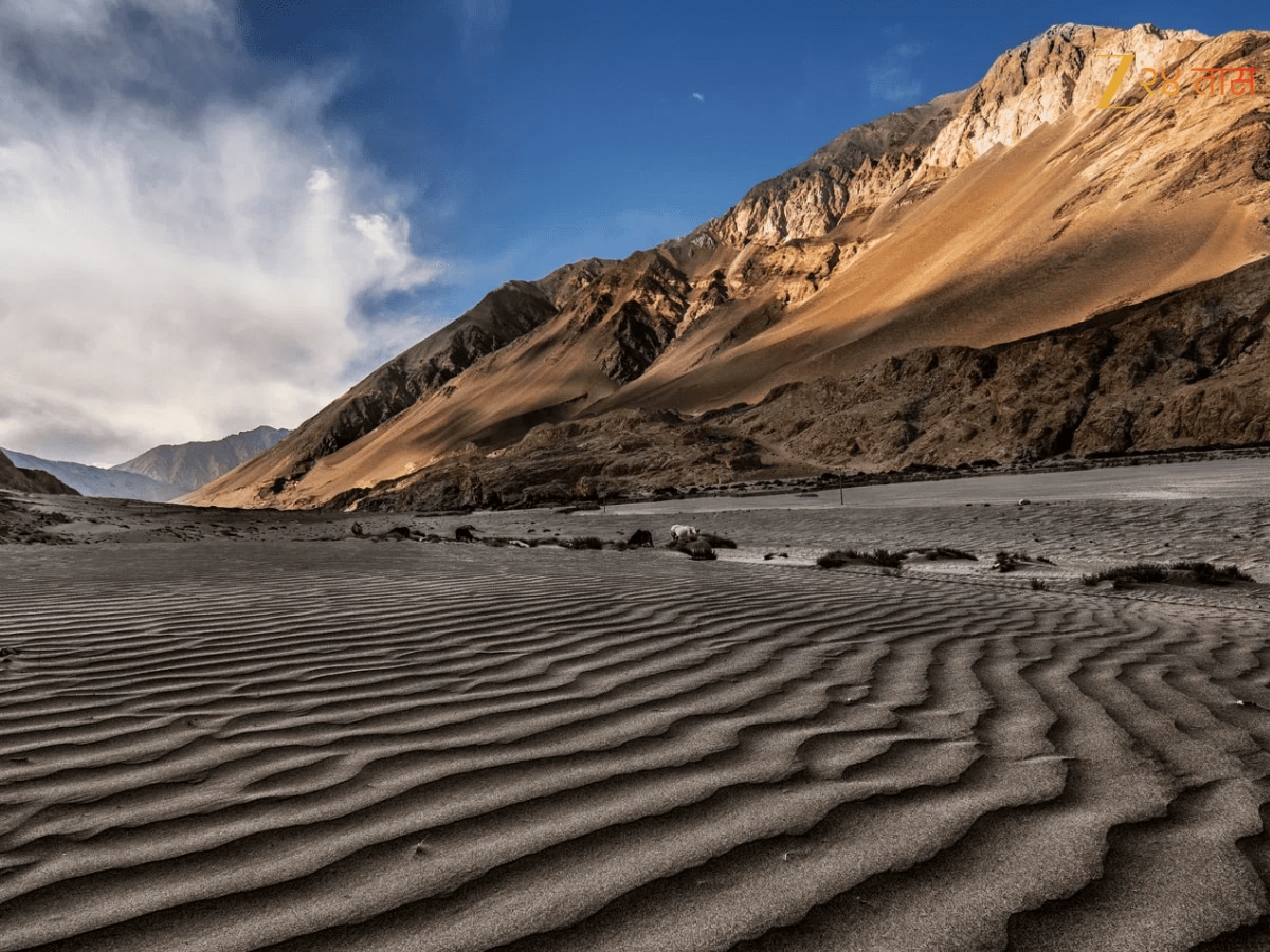 travel facts did you know Which Desert is known as the Cold Desert is ...