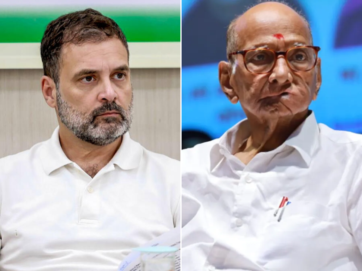 अकोल्यात काँग्रेस–राष्ट्रवादी काँग्रेस यांची युती निश्चित अकोल्यात काँग्रेस–राष्ट्रवादी काँग्रेस यांची युती निश्चित