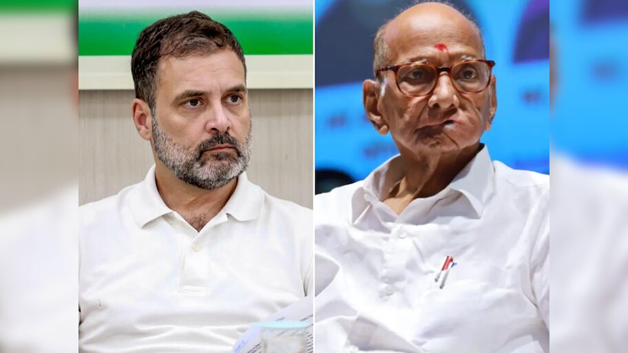 अकोल्यात काँग्रेस–राष्ट्रवादी काँग्रेस यांची युती निश्चित