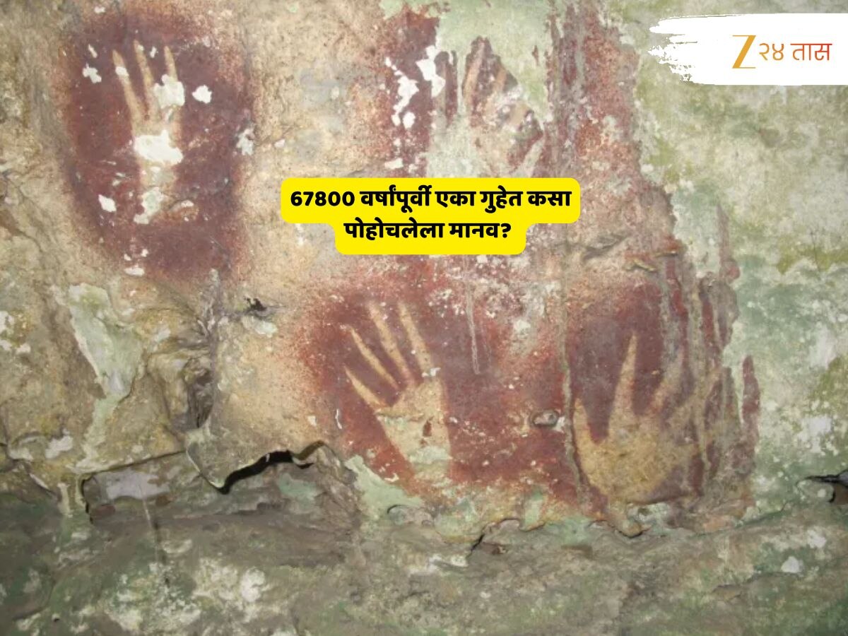 world oldest rock art indonesia cave 67800 years old | कुठे सापडलं ...