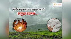 हवामानाचा यू-टर्न! कडाक्याच्या थंडीनंतर पावसाचा अलर्ट, IMD कडून महत्त्वाची माहिती 
