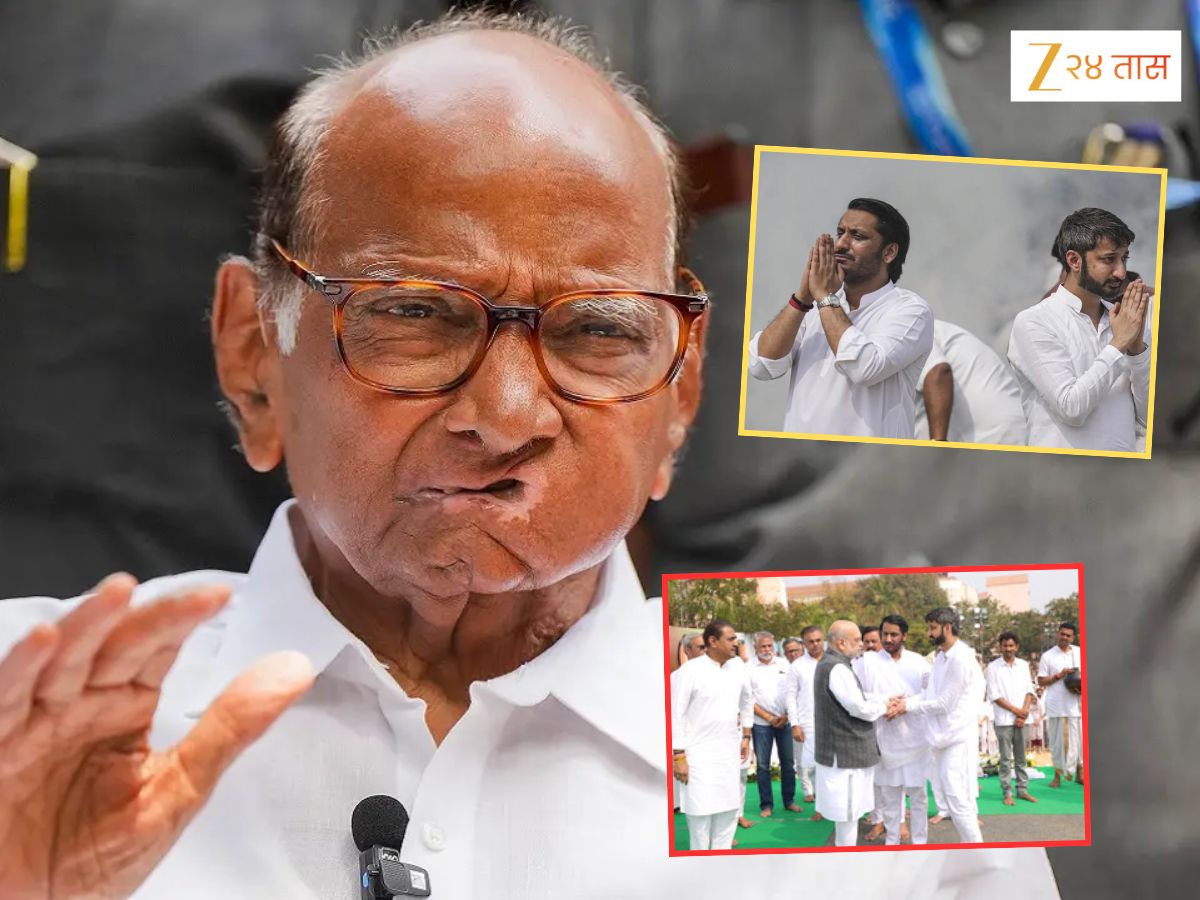 ‘तुम्हाला यापुढे…’, शरद पवारांनी नातू पार्थ आणि जय पवार यांना स्पष्ट शब्दांत सांगितलं; त्या बैठकीतील इनसाईड स्टोरी