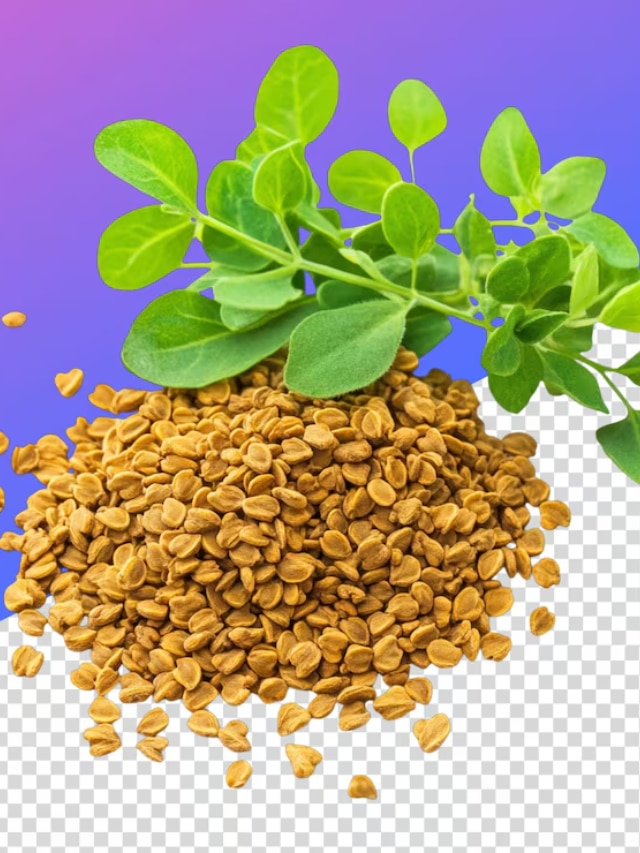 केसांसाठी मेथी दाण्यांचे फायदे