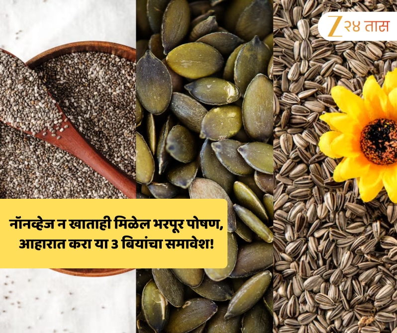 नॉनव्हेज न खाताही मिळेल भरपूर पोषण, आहारात करा या 3 बियांचा समावेश!