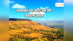 Weather Update : महाराष्ट्रात हवामान कोरडे आणि उष्ण, तापमानात मोठी वाढ 
