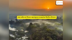 बापरे! अचानक बदलली वाऱ्याची दिशा अन् वाढला वेग; महाराष्ट्रात उकाडा असह्य होतानाच कुठं वर्तवण्यात आला पावसाचा अंदाज? 