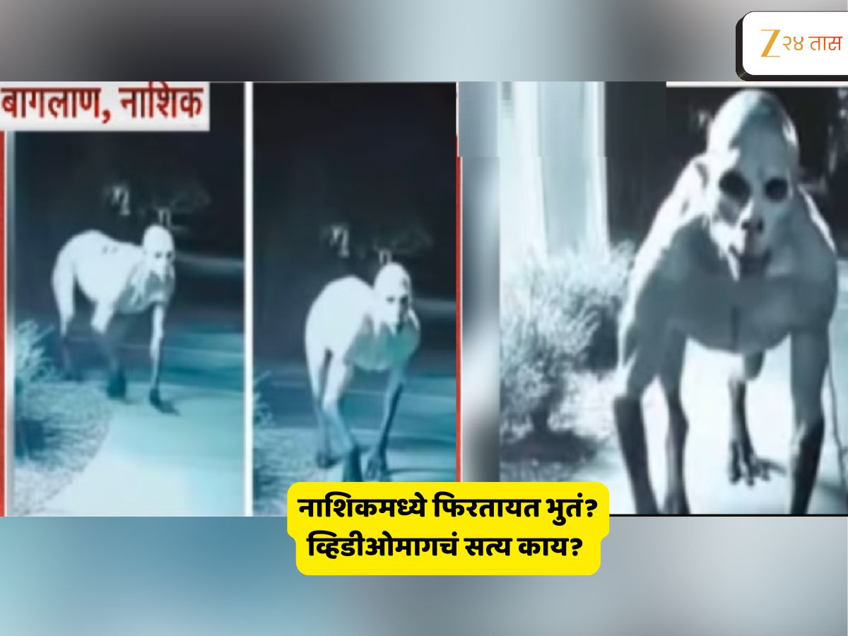 nashik news fact check viral video of a ghost creates tension in locals ...