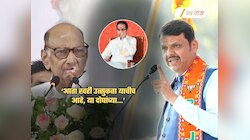 शरद पवार राज्यसभेवर गेल्यास उद्धव ठाकरेंची सर्वात मोठी गोची? भाजपानेच मांडलं समीकरण; 'कुर्बानी...'