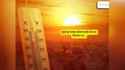 लक्षणीय तापमानवाढीमुळं महाराष्ट्रात आतापासूनच प्रचंड उकाडा, कोकण की विदर्भ, सर्वाधिक होरपळ कुठे?